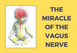 THE MIRACLE OF THE VAGUS NERVE