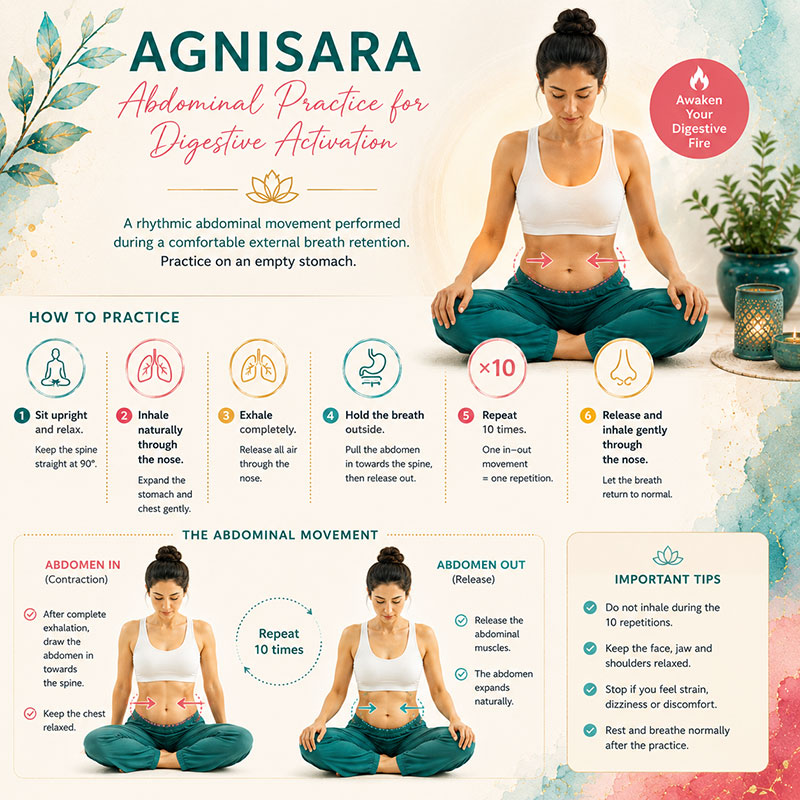 Correct seated position and abdominal movement for Agnisara practice
